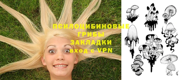 mdma Козельск