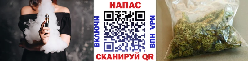 Каннабис сатива  Купить закладки  Мамадыш 
